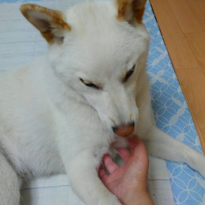 115a472a 652f 4bb4 9fb0 88c81dbde329