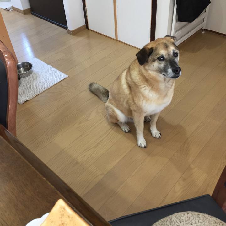 115b046e 2306 4f59 ab33 54ad3f0f9b9b