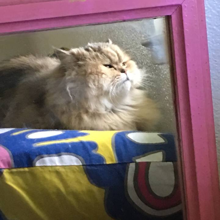 115b0918 a666 4276 a611 a6931a783ee4