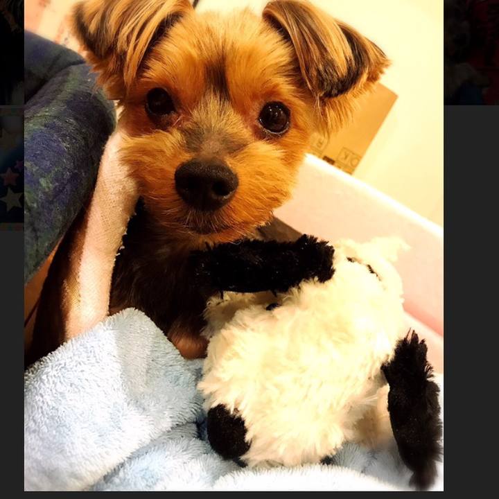 115b50b6 618f 4649 ba2d 4f2f3e4c342c