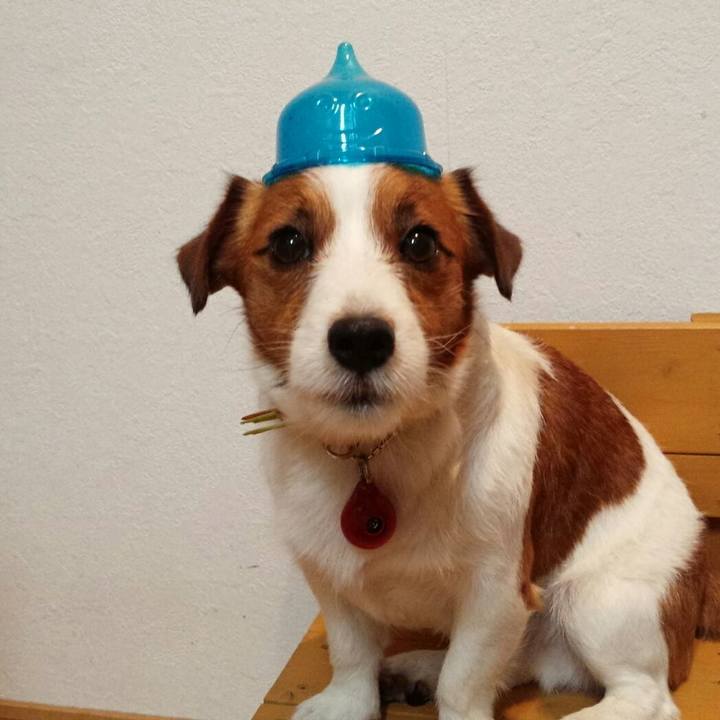 115b80c9 8519 443f 832e 4da9d4b5b944