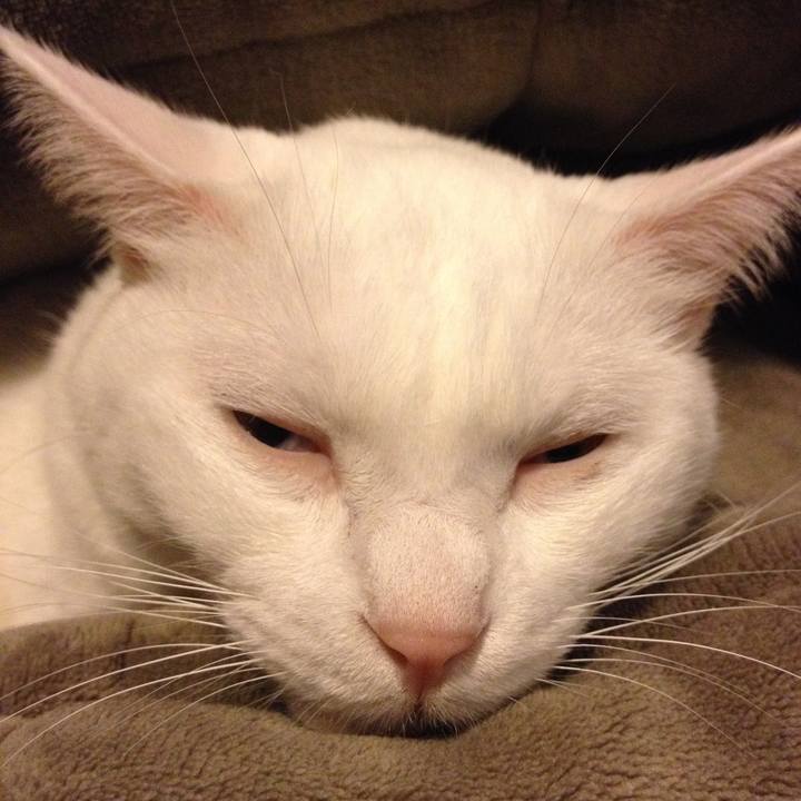 115bcbec 8b15 4db5 94fb 3951f894bc57