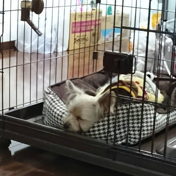 115c39fe b0ea 4e6a b809 13325096f6a6