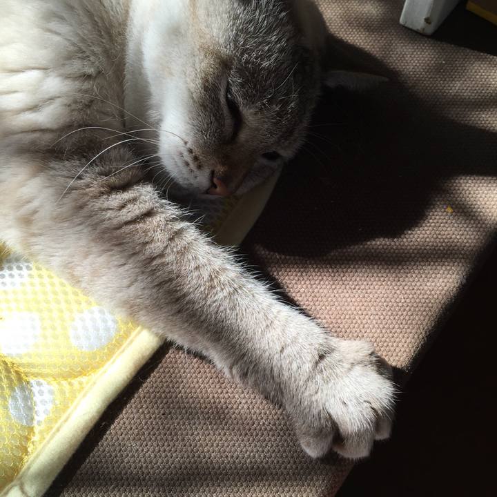 115c6b8d 0d78 4ac8 bdcd 5d0c2645ab6b