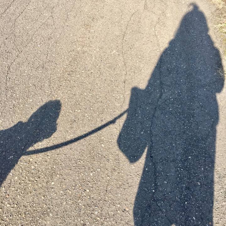 115c8cd4 07a3 4803 8656 1bc074acaa94