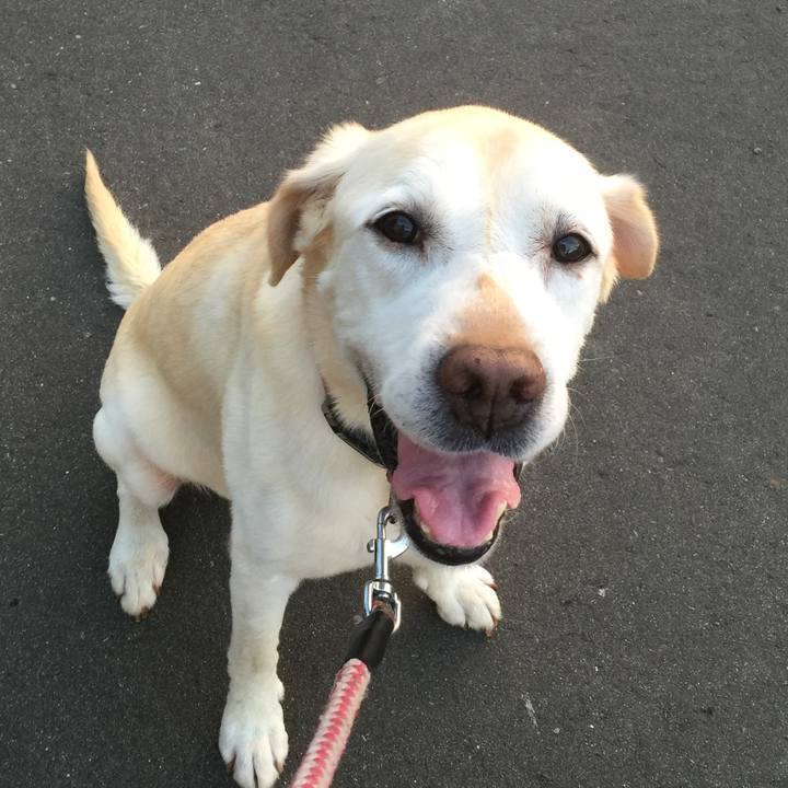 115ced8b 41c6 4a48 9551 8a557b5a0d49