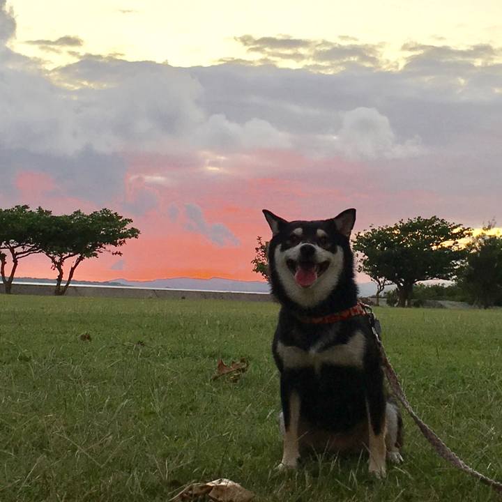 115d01c3 b2b3 463a 9b4d 348e3a4680b0