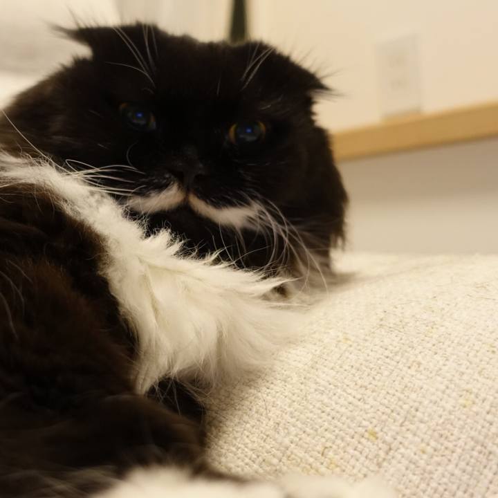 115d0b32 27a1 462f 98c1 c8b7f2600e1c