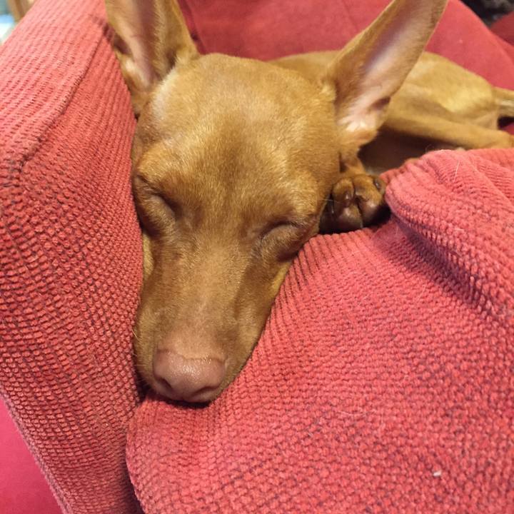 115dc5c0 9e8f 4050 bd18 223f61b1ed14