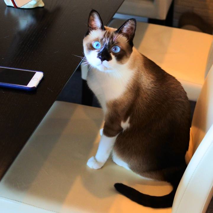 115dec2b 32ff 4610 9302 23e99a5224a7