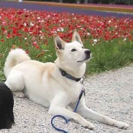 115e80dc c28b 4774 bff4 1172ad1bf737