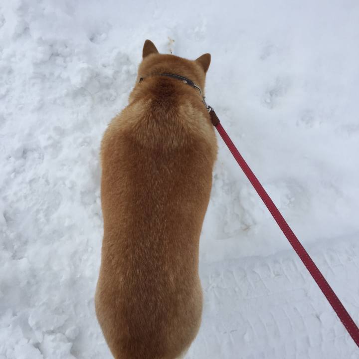 115f0173 dbf3 416a b725 2fd453ce5637