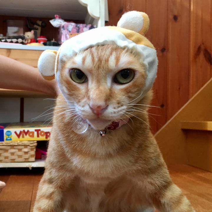 115f5373 f266 4810 b739 d20c2813d1ea