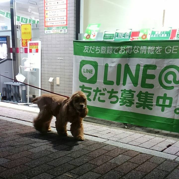 115fa57e 01c0 4fbc a585 0aa92348c789