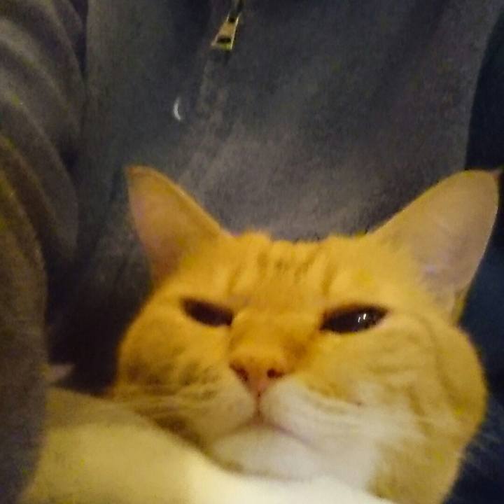 115fb39b eed0 4554 a6bf bd4ffc163962