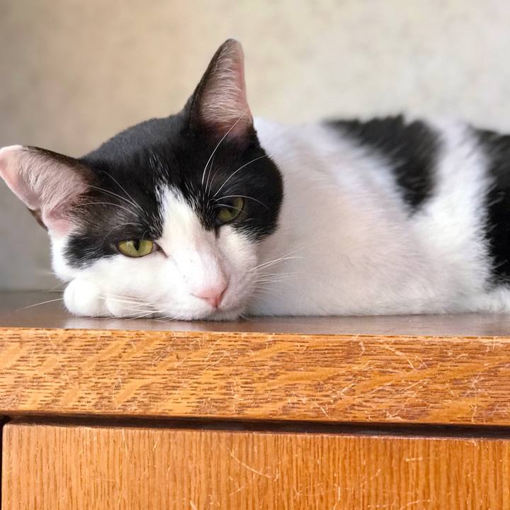 115fbfb7 caec 404c 8b26 94ef92f2ab79