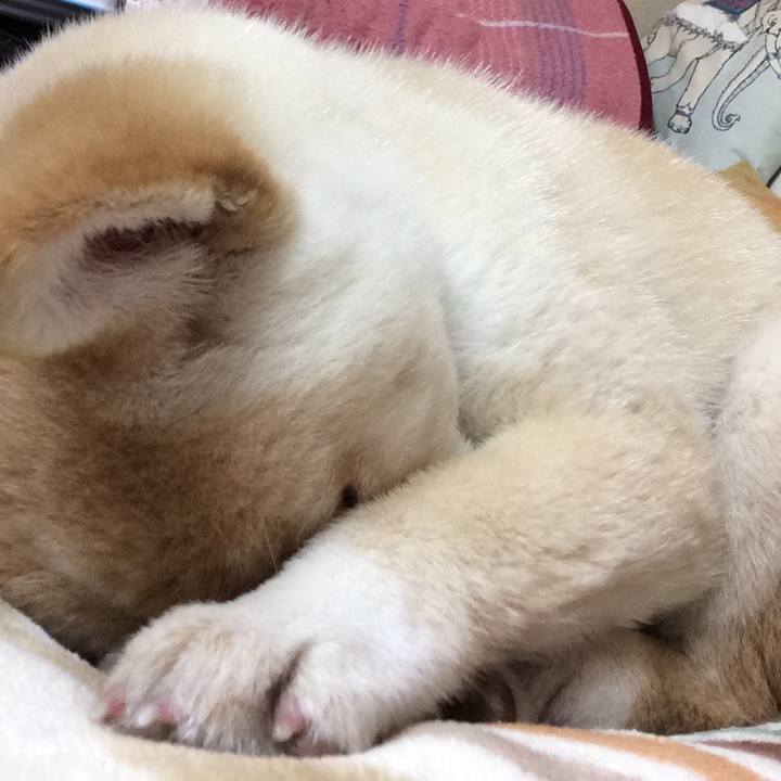 115fee69 7d2f 4aa2 86d3 c0f1704bf09b