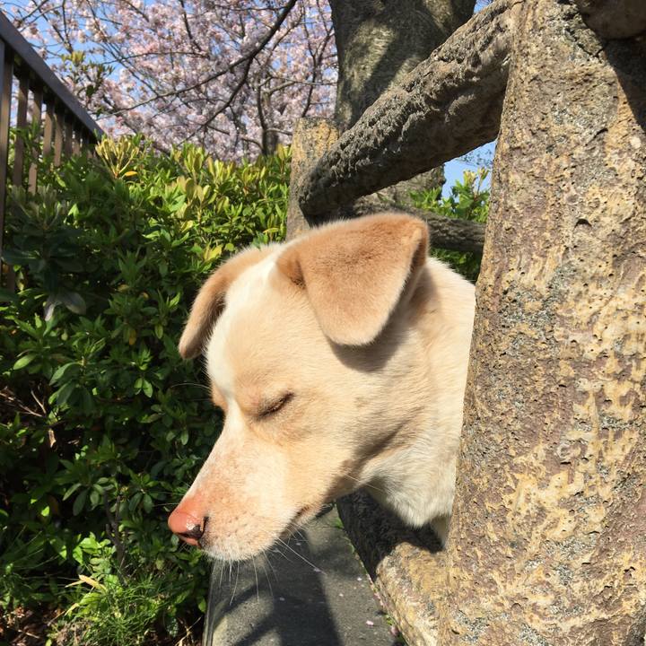 1161b987 e860 4e75 8b4a 2f70e069bce8