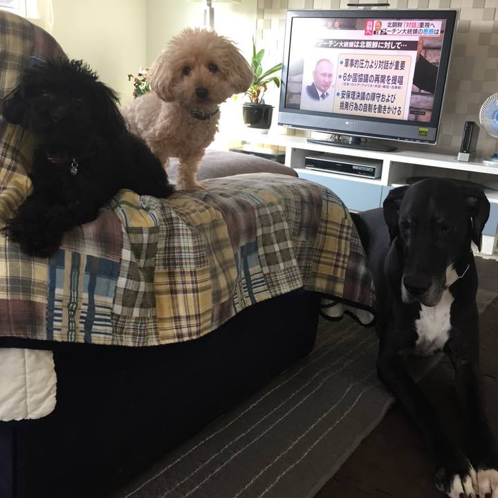 11620f42 8231 4615 800d ab342353921a