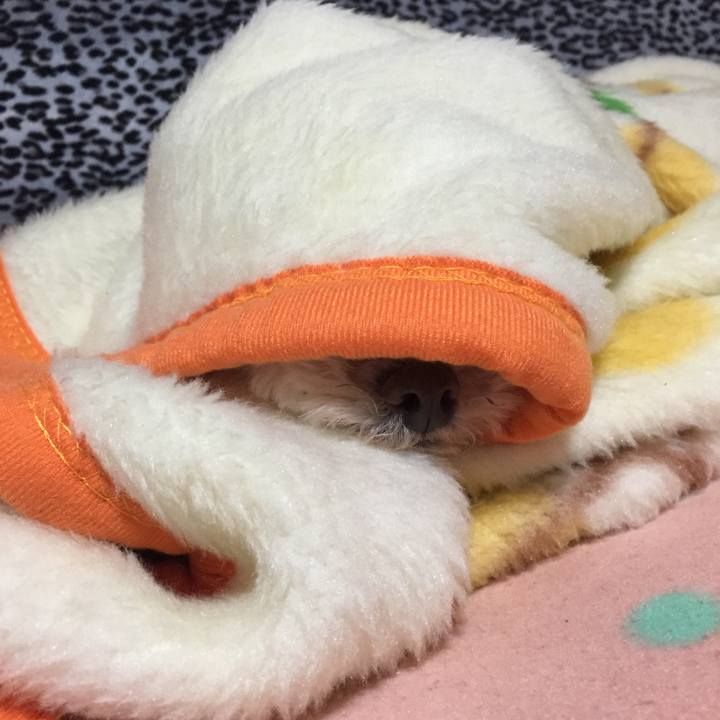 116210bc 4d5d 4b17 97c2 63483f53e474