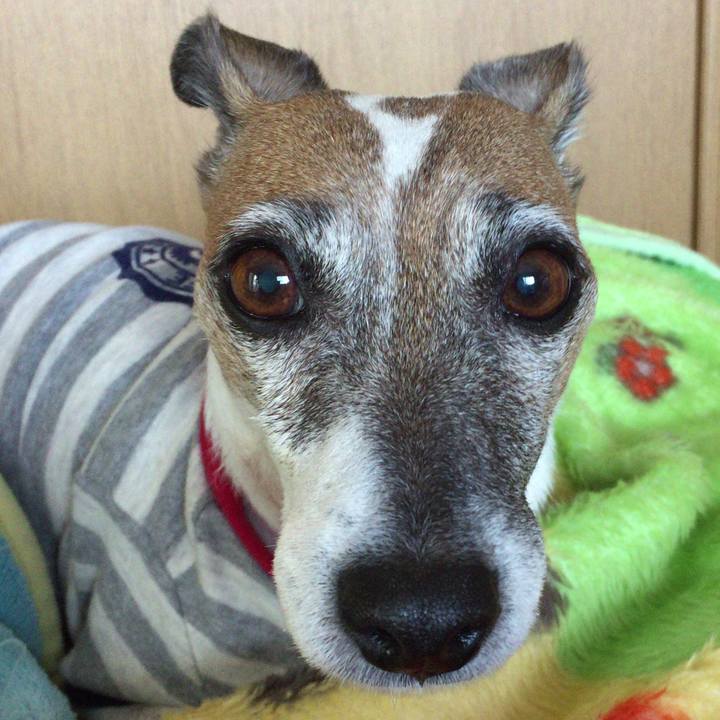 1163ad57 7d15 4b99 8888 66a89188c276