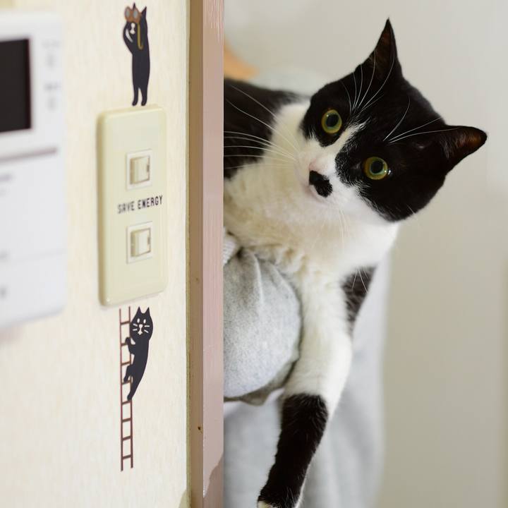 11645f41 7b59 4eb2 9017 2796d3c365d1