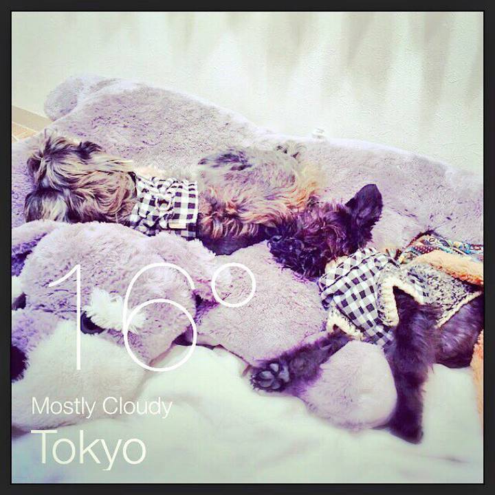 1164cf45 a7c3 490b 9233 9ea890ca1ce3