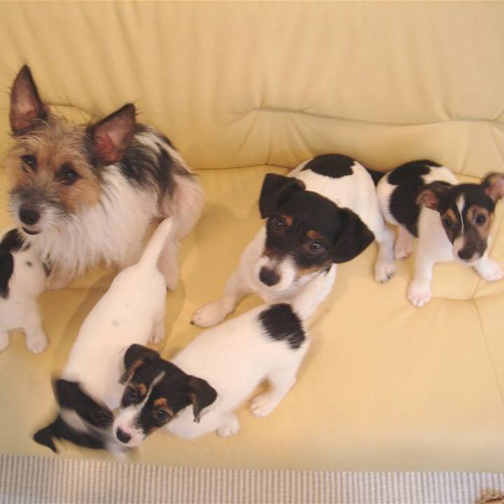 11656cde dfaa 4b48 a4d8 63c13a724114