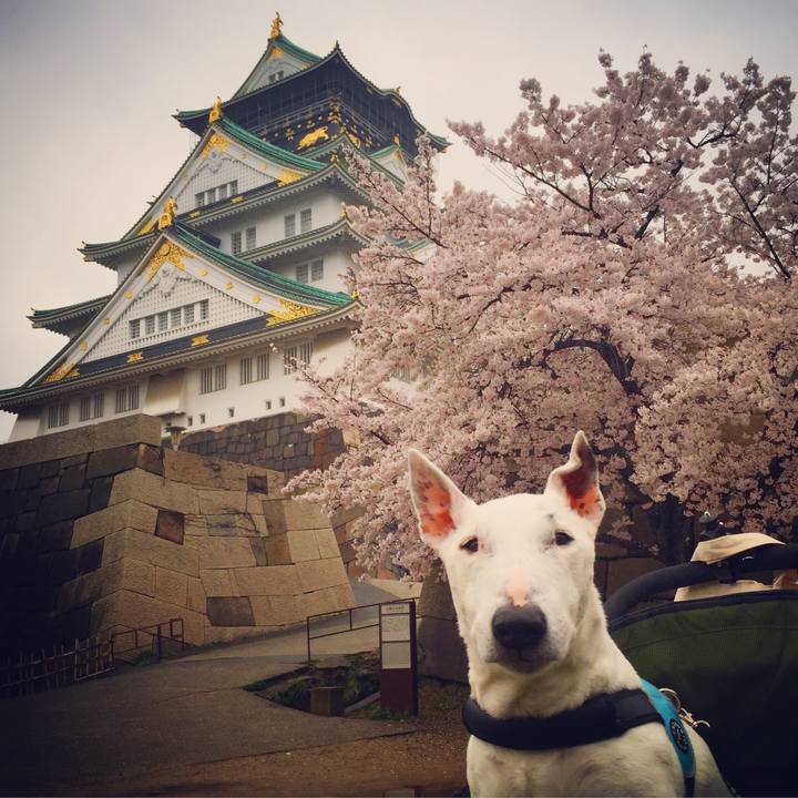 116641ba 0688 431e b356 187355aec150