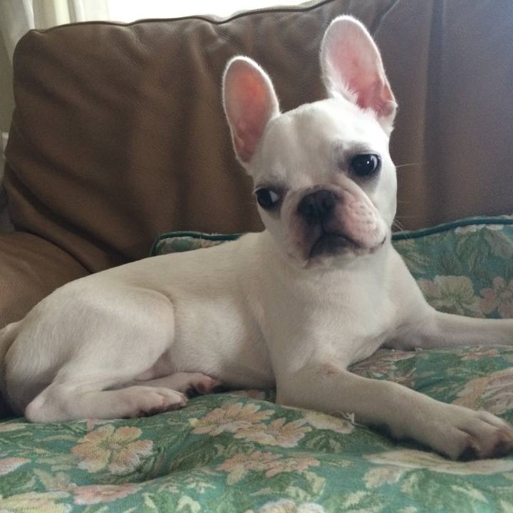 1166d70c 1352 4616 895a 8b5b4d5ee510