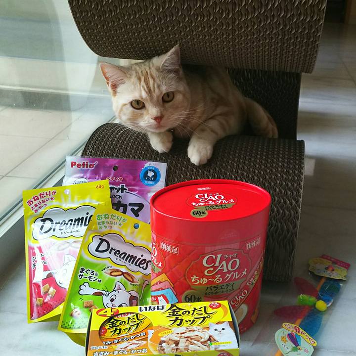 116735fd 03f3 47d2 8070 1f0c1dcfe9a2