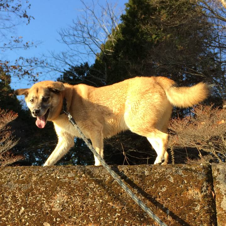 116772ea c84e 4b39 be79 5bb5a92d93ca