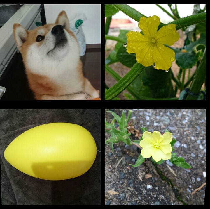 11677b76 255a 4426 9f1a 9cb5441bc16d