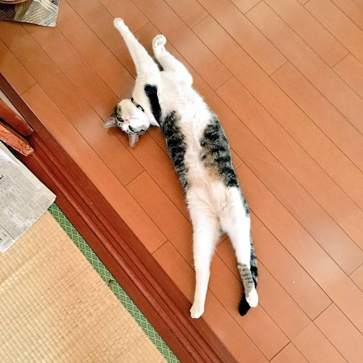 1167a294 7aad 4756 907f 68c2e219af5e