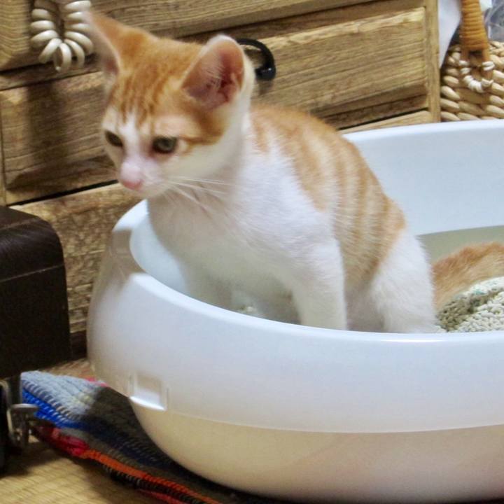 1167aa4e 7b27 4450 8fe3 ca68395d6aad