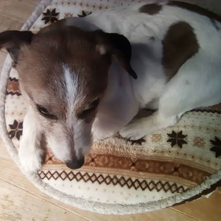 11680dcb 460f 415d bfe4 f0c0c1435ff6