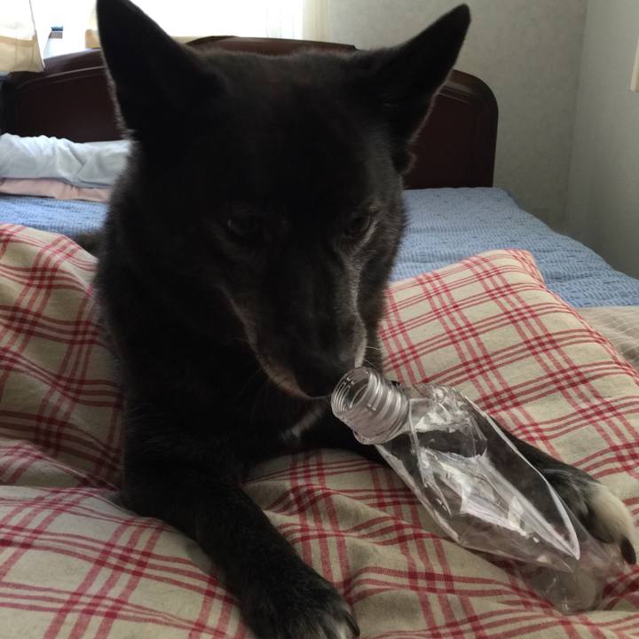 11694a0e f453 4687 b41a c7961c754bb7