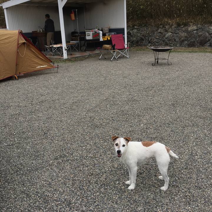 1169ba47 2fb1 42bb a2df f0a56b3c1622