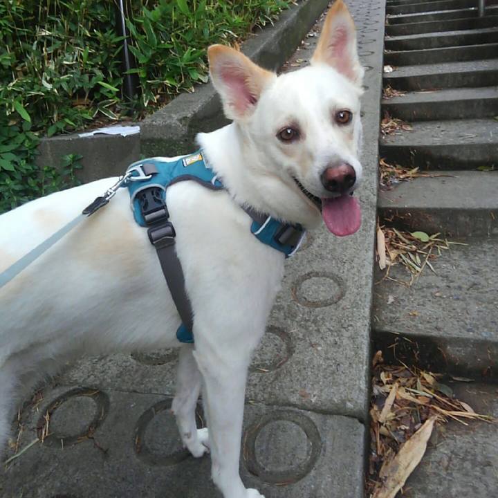 116aa5e1 a951 4ec7 ba2b 4f96f27aa1e3