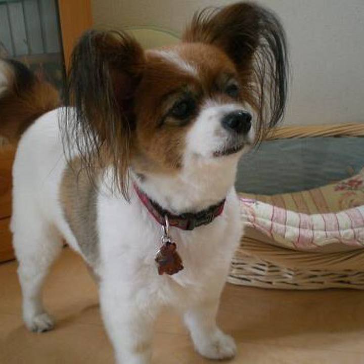 116ae250 6dc8 42a3 bfa1 caa8bae991d7