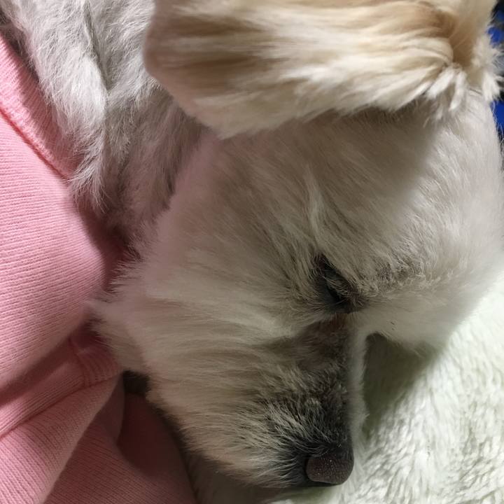 116b0956 8aff 43e4 bc93 37b0e2a8d5e1