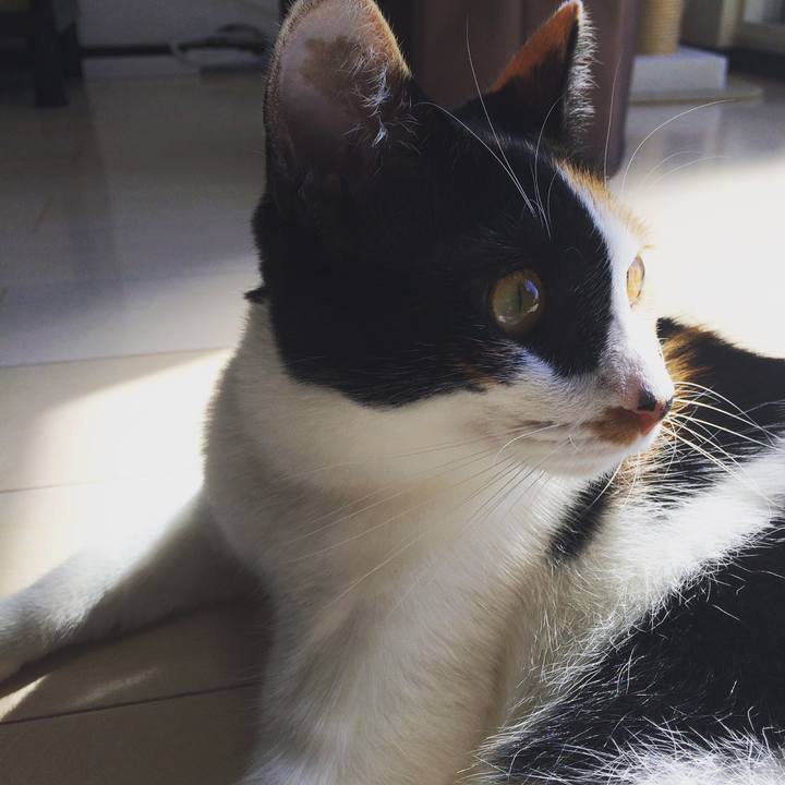 116b3a61 0386 4236 82f4 e627b0a4fc88