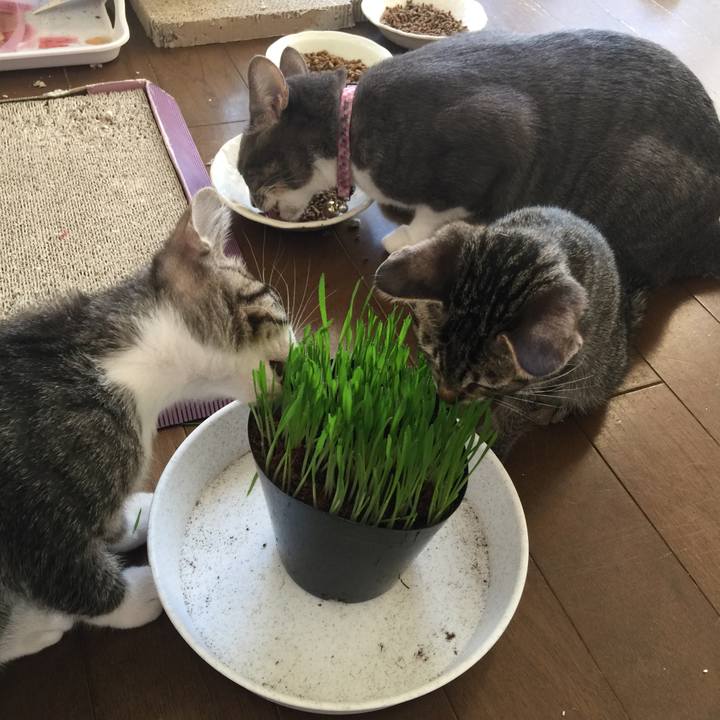 116bbd18 8bc6 4697 80bc 2cadff6154d6