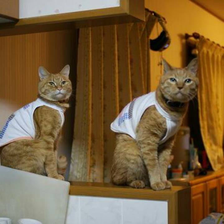 116be87d d7fd 4f30 8bb9 56c1362ee76e