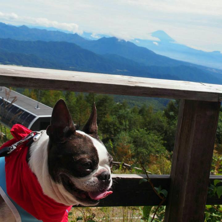 116c0492 e5fc 4b66 aaa3 495b112e979c