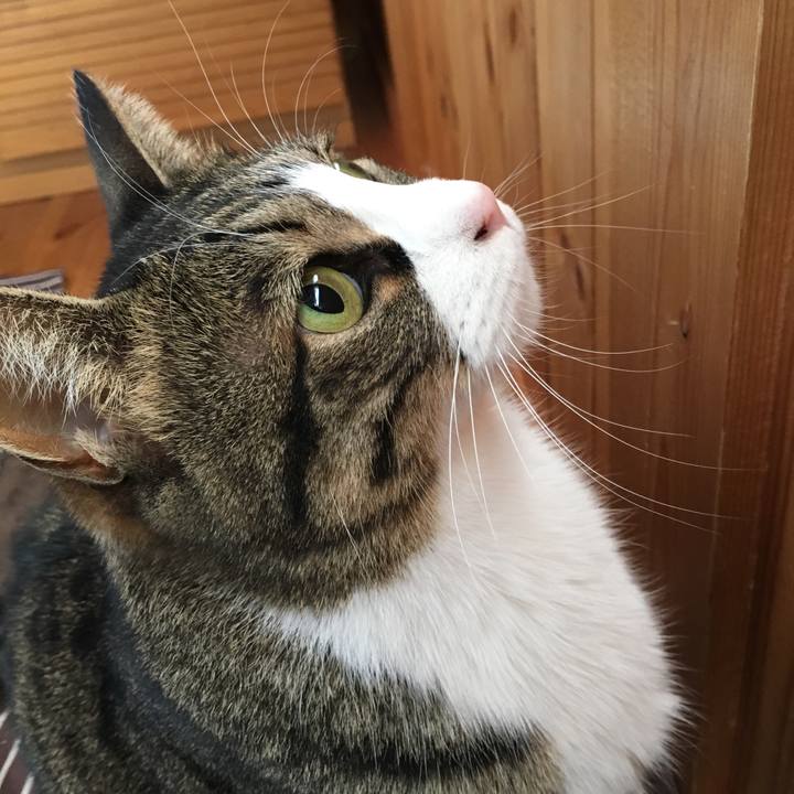 116d3047 a646 4e6f b4b6 5f099104a5c8