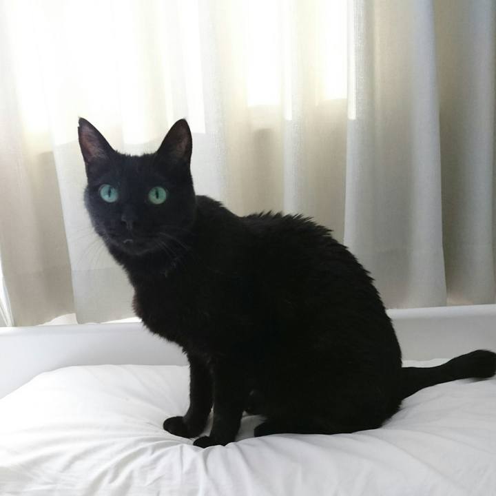 116d5aad ffa8 4af3 8241 b5337f45837c