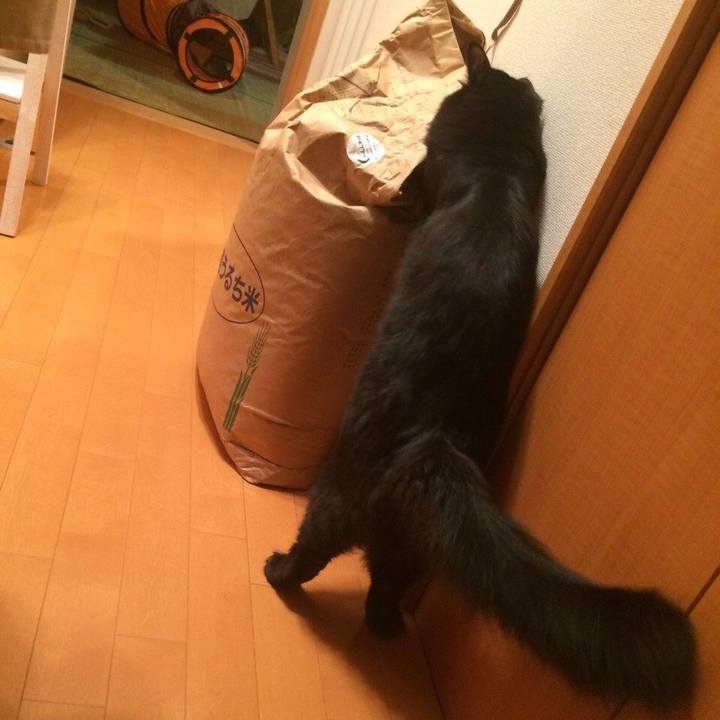 116e937c 59c3 4cad a1a6 0e2885cb705d