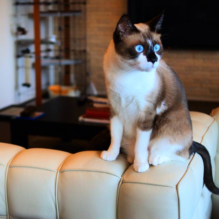 116edc6e 014b 498e b7fe d58567321bc7