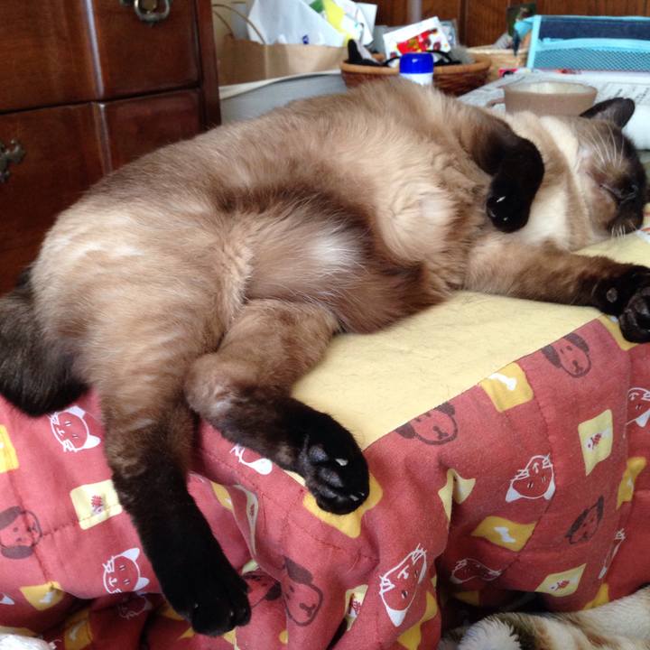 116ee01f 59ea 437f adf3 6581ca27fb69